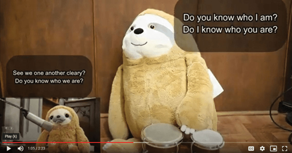 Stuffed Animal Celebration video