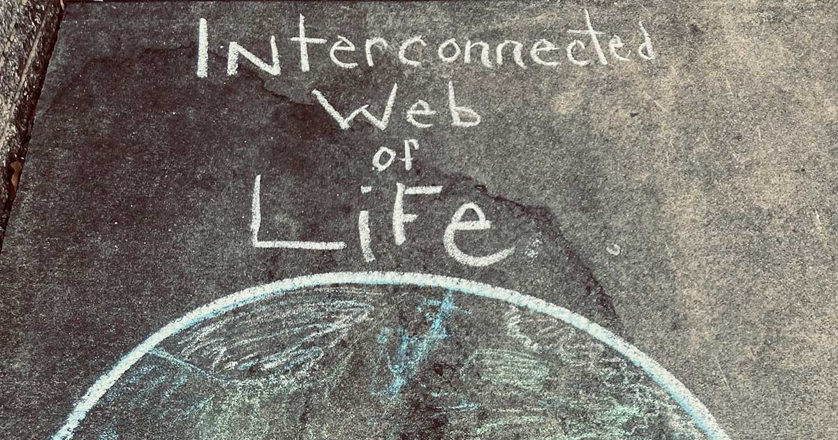 Interconnected Web of Life - Sidewalk Chalk